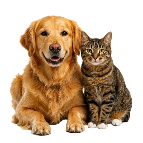 Mascotas AlphaVet